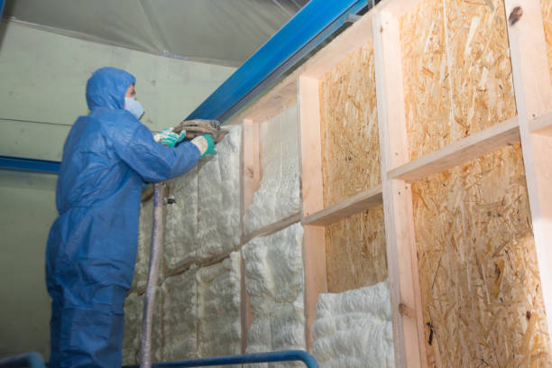 Best Insulation Repair Services  in Palm Springs, FL